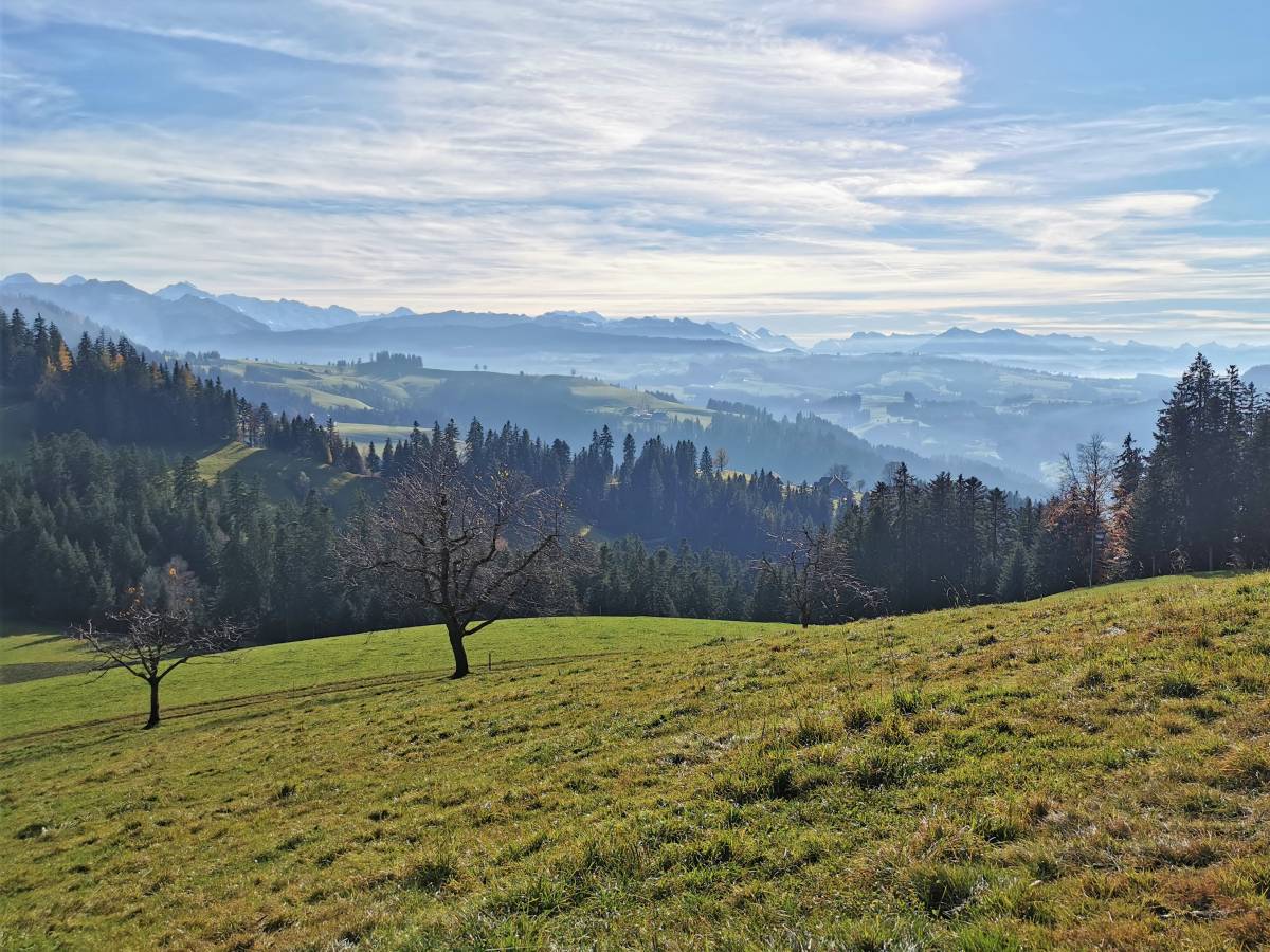 Weiden im Emmental – Hüpfenboden